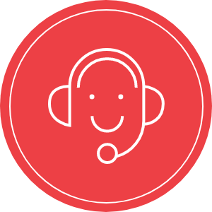 24*7 level 2 support